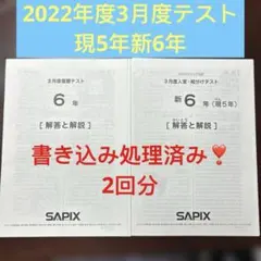2026年最新】Sapix 入室テストの人気アイテム - メルカリ