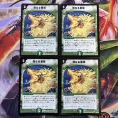 母なる聖域 プロモ - メルカリ