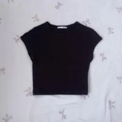 ZARA Tシャツ