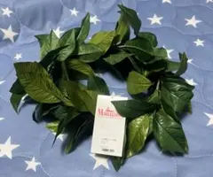 新品マウナロア　フラダンス　デラックスマイレレイ ハク　ヘッドバンド