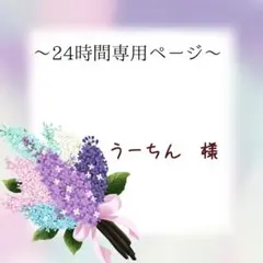 うーちん様専用ページ