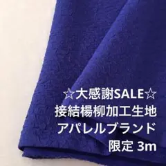 2FX/4034◆3m 感謝祭/限定/ポリエステル接結楊柳加工生地/アパレル