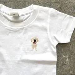 アウトレット品【ラブラドールレトリバー】オリジナルイラスト　キッズTシャツ