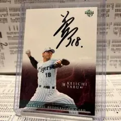 阪神タイガース　藪恵壹サイン入りキャップ 阪神タイガース 藪恵壹サイン入りキャップ