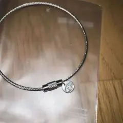 Item thumbnail for item de7290d1-4084-4ff1-832f-dc14f1586add