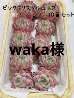 waka様 リクエスト 2点 まとめ商品