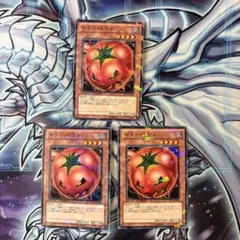 遊戯王　キラートマト　DT ノーパラ 3枚