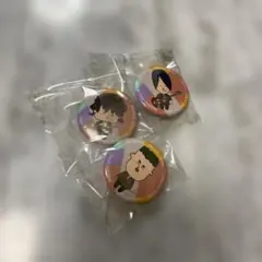 2025年最新】back number 缶バッジの人気アイテム - メルカリ