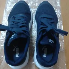 Item thumbnail for item a804ada9-068a-4e37-ae3a-c6ba6fca0da6