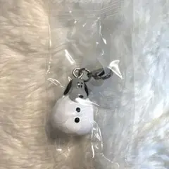 PEANUTS めじるしアクセサリー　FUNNY ver. スヌーピーE