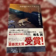表参道のセレブ犬とカバーニャ要塞の野良犬