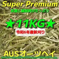★ 귀리 11kg R6 새상품 ◼ ︎ 슈퍼 프리미엄 래빗 소형 동물 목장 스낵