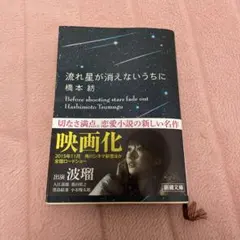 Item thumbnail for item 5788ebf8-c1d5-4db8-93b9-961f608631ff