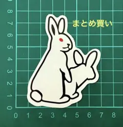 夢様 リクエスト 3点 まとめ商品