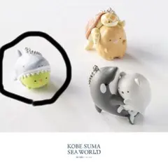 神戸須磨シーワールド すみっコぐらし ガチャガチャ 限定品 2個セット