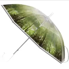 Item thumbnail for item 92db3e6e-4eaa-4111-8682-000d5a52ff7c