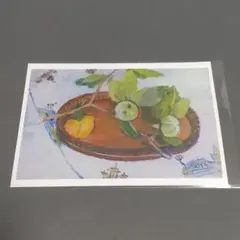 ヴィン様 リクエスト 2点 まとめ商品