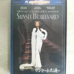 酒井法子 スタジアム・ライブ in 台湾 1992年 VHSビデオ - メルカリ