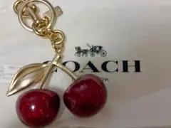 2026年最新】coach チャーム さくらんぼの人気アイテム - メルカリ