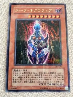 2026年最新】ダークネクロフィア パラレルの人気アイテム - メルカリ