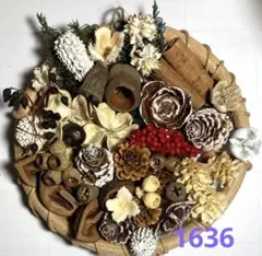 木の実詰め合わせ　1636