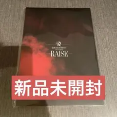 即購入OK KOICHI DOMOTO RAISE パンフレット
