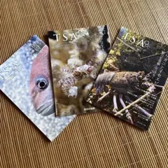 【匿名配送】TSA (toba super aquarium) 3冊