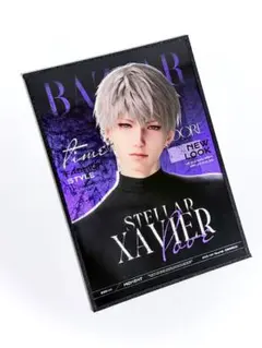 専用ページ確認用　キラキラアクリル色紙　855