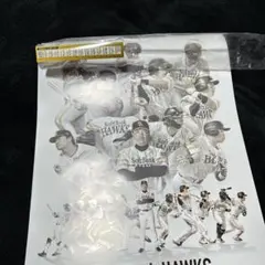 福岡ソフトバンクホークス2026カレンダー