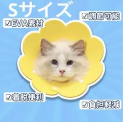 Item thumbnail for item aace813f-4f97-4f2a-aeb7-46014cd66f38