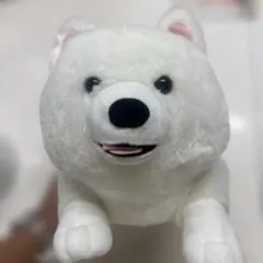 FANS サモエドの子犬 ぬいぐるみXL プレミアム