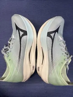 Mizuno Wave RebellionPro low26.0cm
