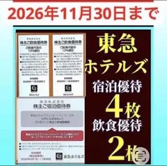 東急ホテルズ 株主優待券 宿泊4枚 飲食2枚 2026年11月30日までのサムネイル