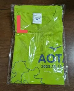 青島太平洋マラソン2025 Tシャツ L