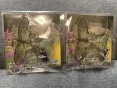 アゲハチョウ　アクリルキーホルダー　神代植物公園