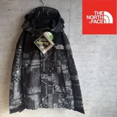 ノースフェイス　新品！マウンテンパーカー　ノベルティペイズリー柄　メンズXL
