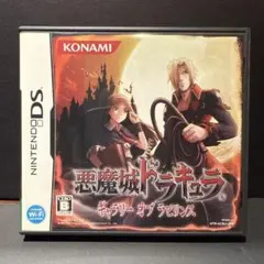 DS用ソフト 悪魔城ドラキュラ ギャラリーオブラビリンス 美品+攻略本