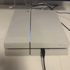 SONY PS4 CUH-1100AB02 本体　グレイシャーホワイト