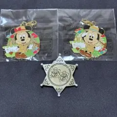 東京ディズニーランド キーホルダーチャーム＆バッジ