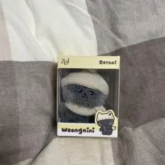 Zeroni ZB1 ゼベワン ウンニニ wongnini ぬいぐるみ - メルカリ