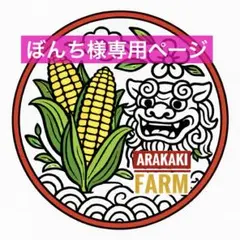 ぼんち様専用ページ　沖縄産とうもろこし　サニーショコラ