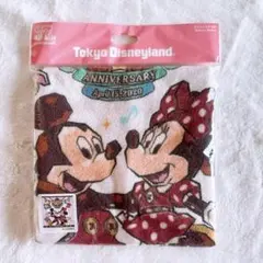 【新品・未開封】東京ディズニーリゾート　37周年　ウォッシュタオル　ファンタジー