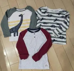 男の子向け　Pekkle & Carters 恐竜　長袖Tシャツ3枚サイズ5