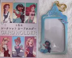 ディズニーストア ディズニープリンセス シークレット カードホルダー
