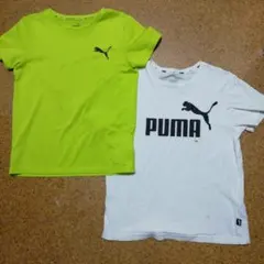 プーマ　140 半袖Tシャツ　2枚　中古　白　ネオンカラー