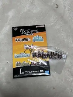 ハイキュー 一番くじ 烏野の未来 I賞 アクリルチャーム 烏野