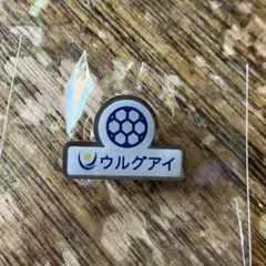 大阪関西万博 パラグアイ館 マグネットピンバッジ - メルカリ