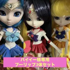 【バイイー様専用】プーリップ セーラームーンシリーズ 3体セット 開封済み
