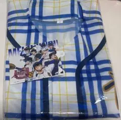 Item thumbnail for item 8b73fe66-b3d2-464a-be6a-6fee8c5411c1