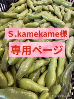 ☻Ｓ.kamekame様専用ページ☻